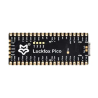 PLACA DE DESARROLLO LINUX LUCKFOX PICO RV1103