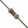 Kit Resistencia TH 1/4 W 10M ohm (10 pzas.)