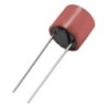 Micro fusible redondo 5A 250V