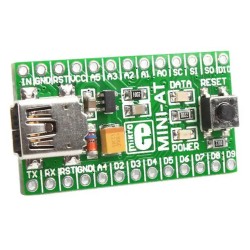 Tarjeta de desarrollo 8 bit...