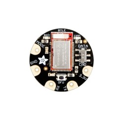 Módulo Flora Wearable...