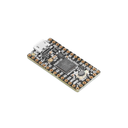 Adafruit Itsy Bitsy M0 Express