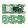 Raspberry Pi Pico 2 W RP2350
