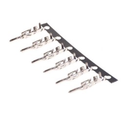 Terminal Macho para...