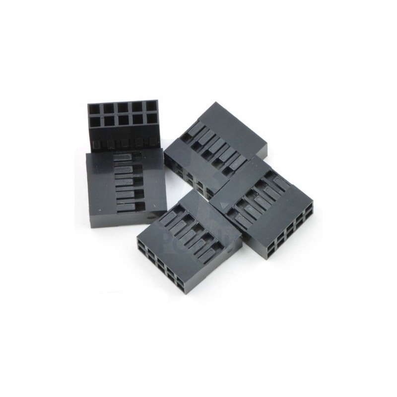 Conector Dupont 5X2 2.54mm.