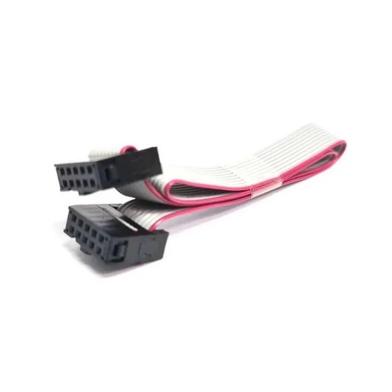 Cable Hembra IDC 10 pines