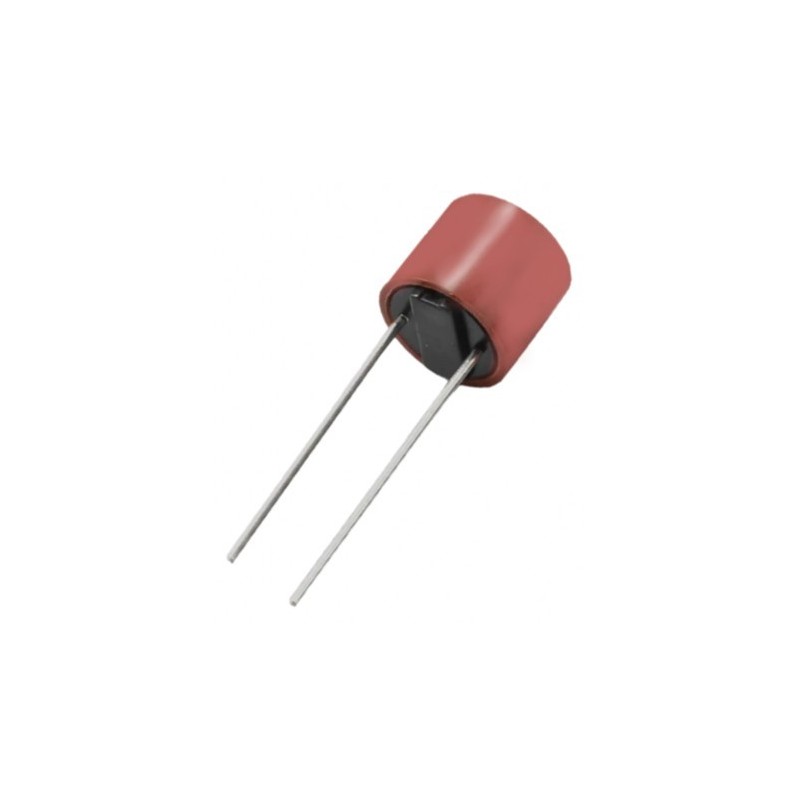Microfusible 1A 250V