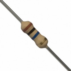 Kit Resistencia TH 1/4 W 10M ohm (10 pzas.)