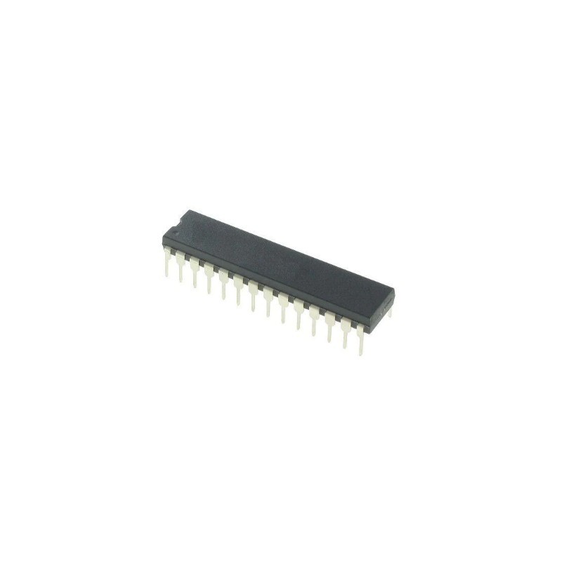 PIC16F876A I/P