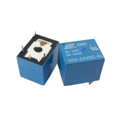 Revelador 24V 20A NA
