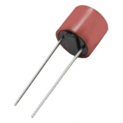 Micro fusible redondo 5A 250V