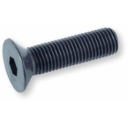 Tornillo M3x10 Cabeza Plana...
